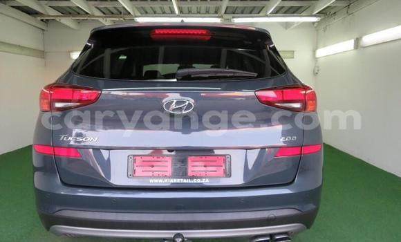 Acheter Occasion Voiture Hyundai Tucson Autre à Windhoek, Namibie Acheter Occasion Voiture Hyundai Tucson Autre à Windhoek, Namibie