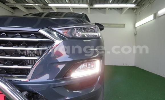 Acheter Occasion Voiture Hyundai Tucson Autre à Windhoek, Namibie Acheter Occasion Voiture Hyundai Tucson Autre à Windhoek, Namibie