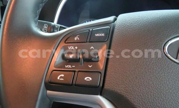 Acheter Occasion Voiture Hyundai Tucson Autre à Windhoek, Namibie Acheter Occasion Voiture Hyundai Tucson Autre à Windhoek, Namibie