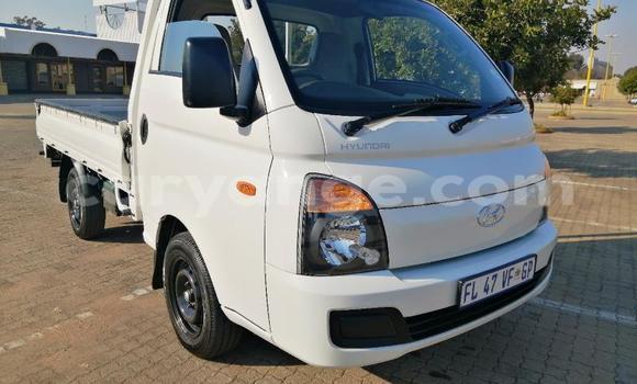 Buy Used Hyundai H200 White Car in Windhoek in Namibia Buy Used Hyundai H200 White Car in Windhoek in Namibia