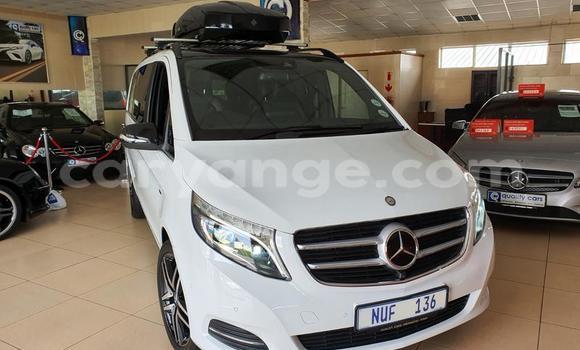 Buy Used Mercedes-Benz V-klasse White Car in Grootfontein in Namibia Buy Used Mercedes-Benz V-klasse White Car in Grootfontein in Namibia