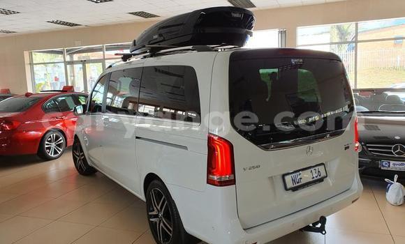 Buy Used Mercedes-Benz V-klasse White Car in Grootfontein in Namibia Buy Used Mercedes-Benz V-klasse White Car in Grootfontein in Namibia