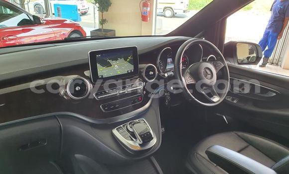 Buy Used Mercedes-Benz V-klasse White Car in Grootfontein in Namibia Buy Used Mercedes-Benz V-klasse White Car in Grootfontein in Namibia