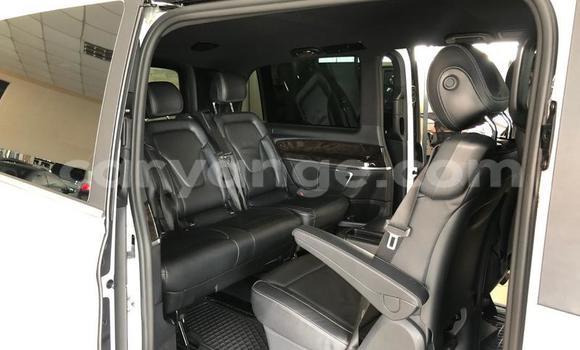 Buy Used Mercedes-Benz V-klasse White Car in Grootfontein in Namibia Buy Used Mercedes-Benz V-klasse White Car in Grootfontein in Namibia