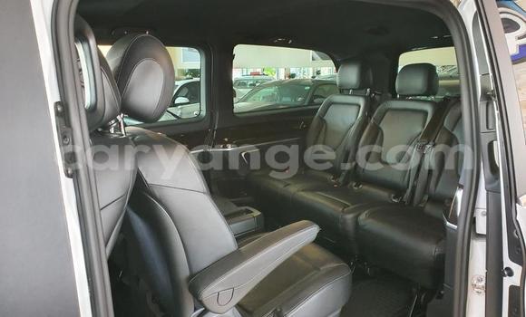 Buy Used Mercedes-Benz V-klasse White Car in Grootfontein in Namibia Buy Used Mercedes-Benz V-klasse White Car in Grootfontein in Namibia