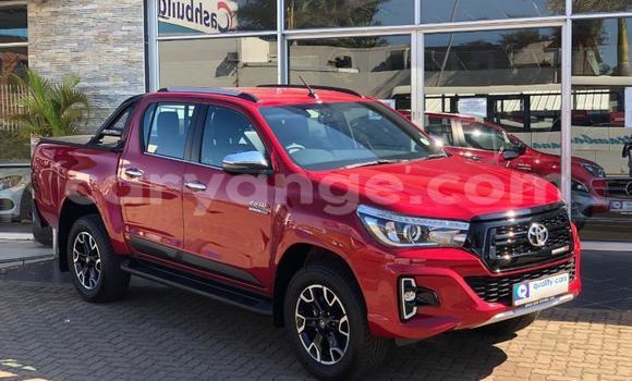 Buy Used Toyota Hilux Red Car in Grootfontein in Namibia