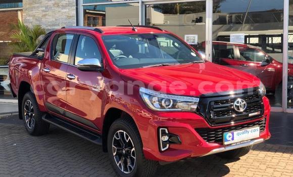 Buy Used Toyota Hilux Red Car in Grootfontein in Namibia Buy Used Toyota Hilux Red Car in Grootfontein in Namibia