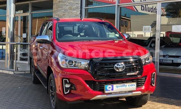 Buy Used Toyota Hilux Red Car in Grootfontein in Namibia Buy Used Toyota Hilux Red Car in Grootfontein in Namibia
