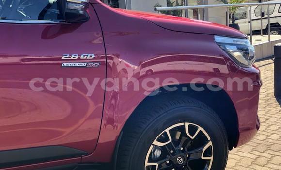 Buy Used Toyota Hilux Red Car in Grootfontein in Namibia Buy Used Toyota Hilux Red Car in Grootfontein in Namibia