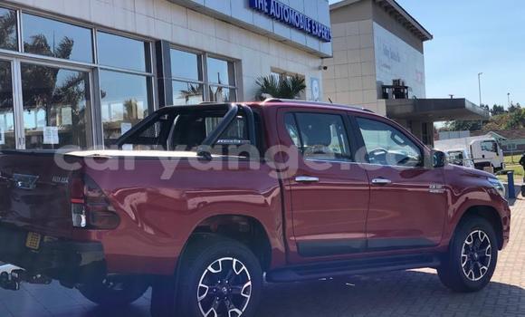 Buy Used Toyota Hilux Red Car in Grootfontein in Namibia Buy Used Toyota Hilux Red Car in Grootfontein in Namibia
