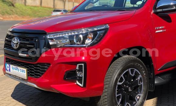 Buy Used Toyota Hilux Red Car in Grootfontein in Namibia Buy Used Toyota Hilux Red Car in Grootfontein in Namibia