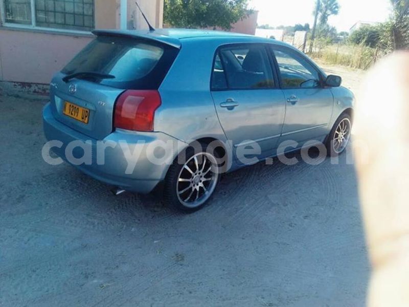 Big with watermark 30629329 194112211393369 244064733525704704 n