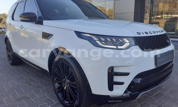 Buy Used Land Rover Discovery White Car in Henties Bay in Erongo