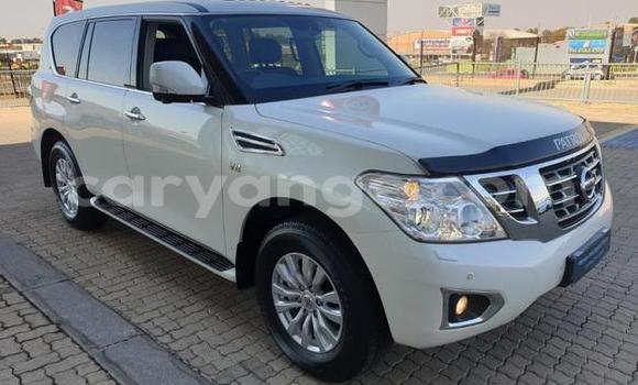 Buy Used Nissan Patrol White Car in Karasburg in Karas