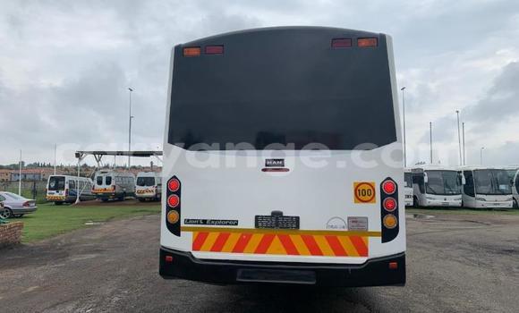 Acheter Occasion Utilitaire Man Silent Blanc à Bethanien, Karas Acheter Occasion Utilitaire Man Silent Blanc à Bethanien, Karas