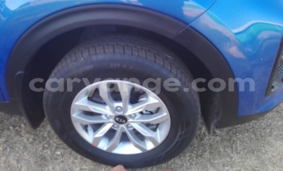 Buy Used Kia Sportage Blue Car in Windhoek in Namibia Buy Used Kia Sportage Blue Car in Windhoek in Namibia