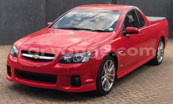 Buy Used Chevrolet Lumina Red Car in Windhoek in Namibia