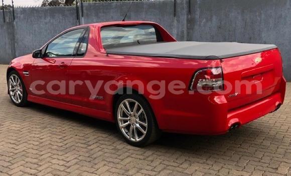 Acheter Occasion Voiture Chevrolet Lumina Rouge à Windhoek, Namibie Acheter Occasion Voiture Chevrolet Lumina Rouge à Windhoek, Namibie