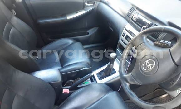 Buy Used Toyota Runx Other Car in Windhoek in Namibia Buy Used Toyota Runx Other Car in Windhoek in Namibia