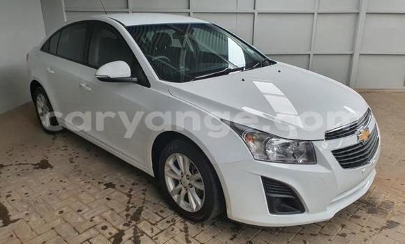 Buy Used Chevrolet Cruze White Car in Gobabis in Omaheke Buy Used Chevrolet Cruze White Car in Gobabis in Omaheke