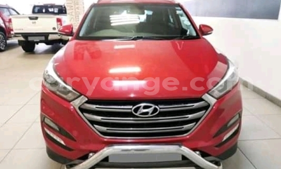 Buy Used Hyundai Ix35 Red Car in Henties Bay in Erongo