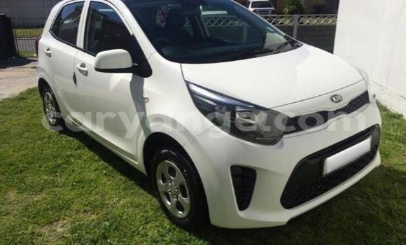 Buy Used Kia Picanto White Car in Gobabis in Omaheke