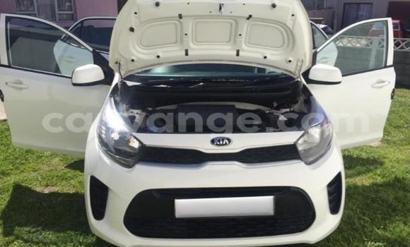 Acheter Occasion Voiture Kia Picanto Blanc à Gobabis, Omaheke Acheter Occasion Voiture Kia Picanto Blanc à Gobabis, Omaheke