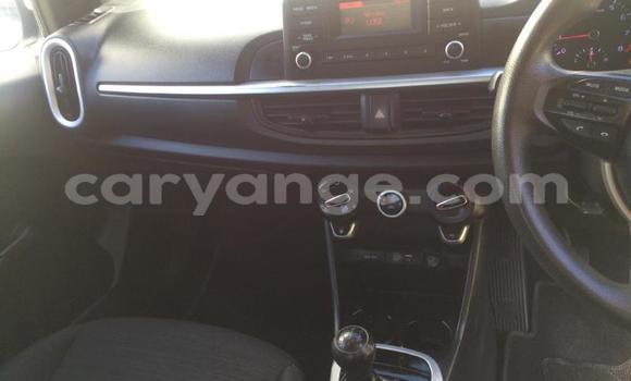 Acheter Occasion Voiture Kia Picanto Blanc à Gobabis, Omaheke Acheter Occasion Voiture Kia Picanto Blanc à Gobabis, Omaheke