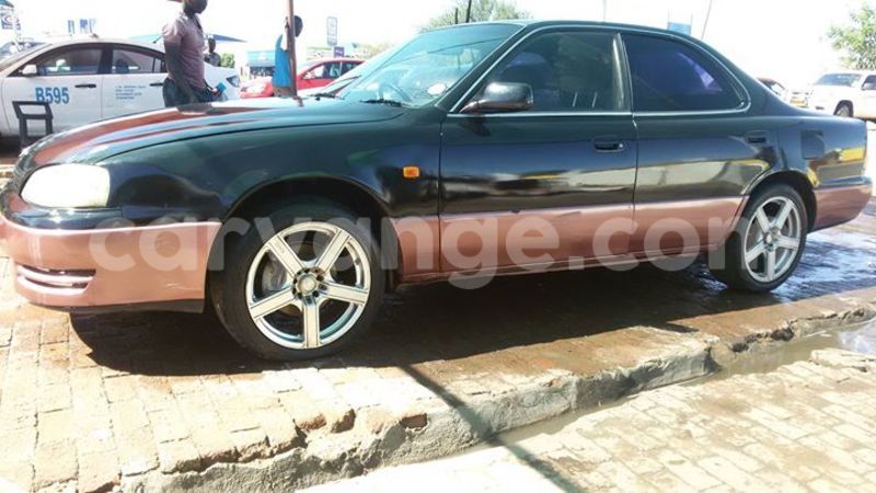 Big with watermark 13041392 10153717780651461 1942378846085373290 o