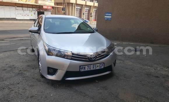 Acheter Occasion Voiture Toyota Corolla Gris à Windhoek, Namibie Acheter Occasion Voiture Toyota Corolla Gris à Windhoek, Namibie