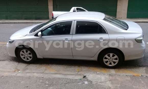 Acheter Occasion Voiture Toyota Corolla Gris à Windhoek, Namibie Acheter Occasion Voiture Toyota Corolla Gris à Windhoek, Namibie