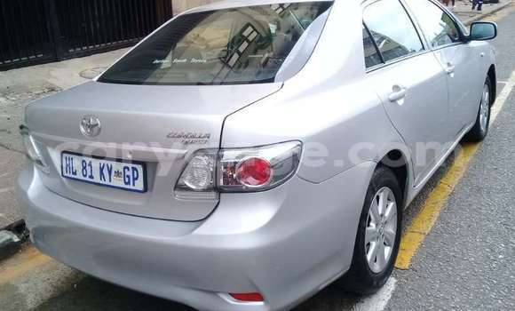 Acheter Occasion Voiture Toyota Corolla Gris à Windhoek, Namibie Acheter Occasion Voiture Toyota Corolla Gris à Windhoek, Namibie