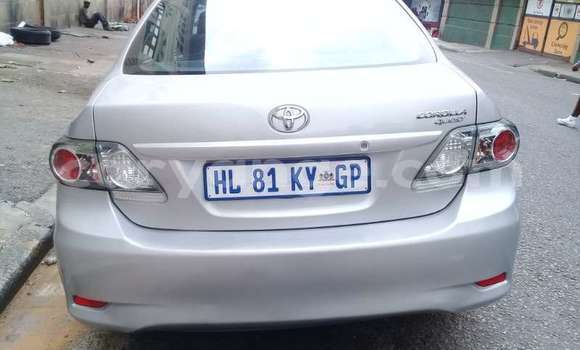 Acheter Occasion Voiture Toyota Corolla Gris à Windhoek, Namibie Acheter Occasion Voiture Toyota Corolla Gris à Windhoek, Namibie