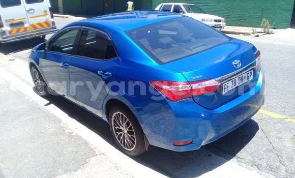 Acheter Occasion Voiture Toyota Corolla Bleu à Windhoek, Namibie Acheter Occasion Voiture Toyota Corolla Bleu à Windhoek, Namibie