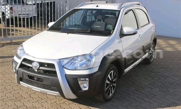 Acheter Occasion Voiture Toyota Etios Blanc à Arandis, Kunene Acheter Occasion Voiture Toyota Etios Blanc à Arandis, Kunene