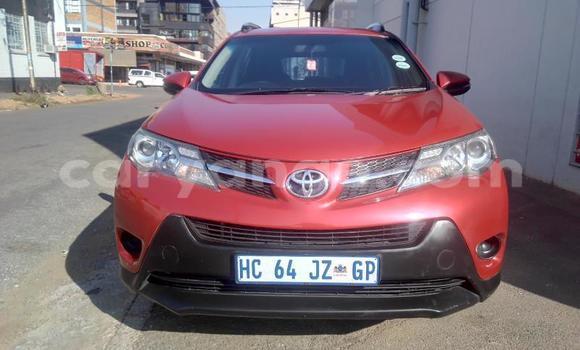 Buy Used Toyota RAV4 Red Car in Windhoek in Namibia
