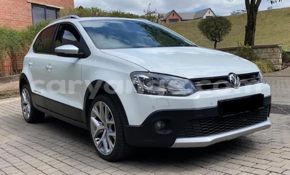 Buy Used Volkswagen Polo White Car in Gobabis in Omaheke
