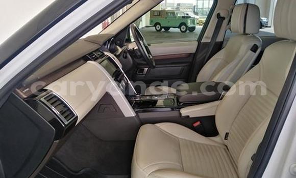 Acheter Occasion Voiture Land Rover Discovery Blanc à Windhoek, Namibie Acheter Occasion Voiture Land Rover Discovery Blanc à Windhoek, Namibie