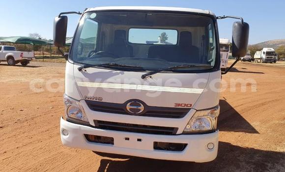 Buy Used Hino 300 Series White Truck in Windhoek in Namibia Buy Used Hino 300 Series White Truck in Windhoek in Namibia