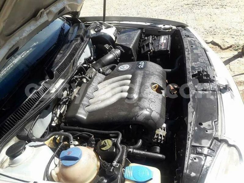 Big with watermark 30705011 1080215435450894 1812932972978896896 n