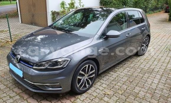 Buy Used Volkswagen Golf Beige Car in Warmbad in Karas