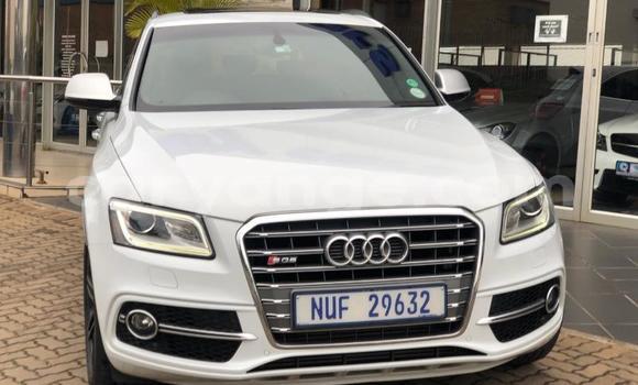 Acheter Occasion Voiture Audi quattro Blanc à Windhoek, Namibie