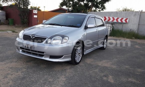 Buy Used Toyota Runx Silver Car in Windhoek in Namibia Buy Used Toyota Runx Silver Car in Windhoek in Namibia