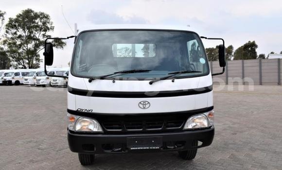 Buy Used Toyota Dyna White Truck in Windhoek in Namibia