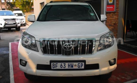 Buy Used Toyota Land Cruiser Prado White Car in Windhoek in Namibia