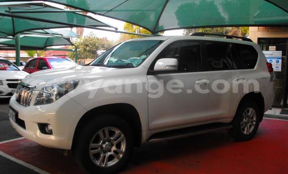 Buy Used Toyota Land Cruiser Prado White Car in Windhoek in Namibia Buy Used Toyota Land Cruiser Prado White Car in Windhoek in Namibia