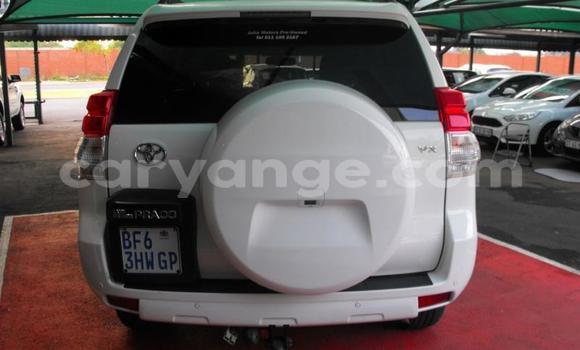 Buy Used Toyota Land Cruiser Prado White Car in Windhoek in Namibia Buy Used Toyota Land Cruiser Prado White Car in Windhoek in Namibia