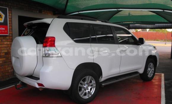 Buy Used Toyota Land Cruiser Prado White Car in Windhoek in Namibia Buy Used Toyota Land Cruiser Prado White Car in Windhoek in Namibia