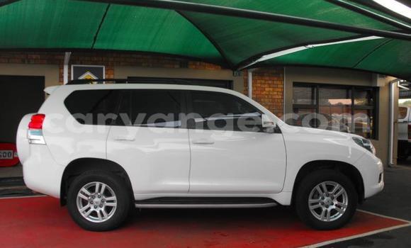 Buy Used Toyota Land Cruiser Prado White Car in Windhoek in Namibia Buy Used Toyota Land Cruiser Prado White Car in Windhoek in Namibia