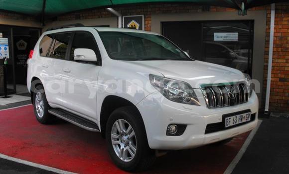 Buy Used Toyota Land Cruiser Prado White Car in Windhoek in Namibia Buy Used Toyota Land Cruiser Prado White Car in Windhoek in Namibia